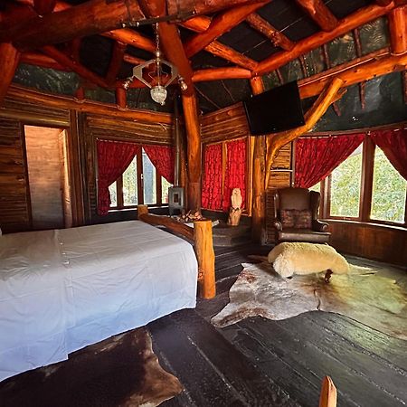 Art Lodge กังโปสดูจอร์เดา ภายนอก รูปภาพ